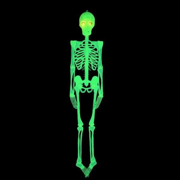 ESQUELETO FLUORESCENTE 